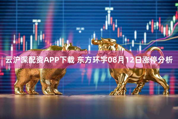 云沪深配资APP下载 东方环宇08月12日涨停分析